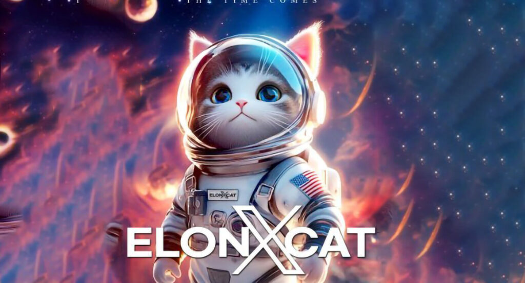 elonxcat